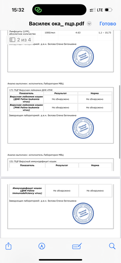 https://upforme.ru/uploads/000f/f6/ce/291/t264316.png