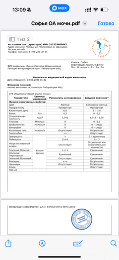 https://upforme.ru/uploads/000f/f6/ce/291/t284544.png