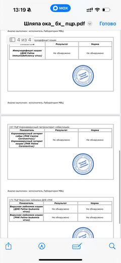 https://upforme.ru/uploads/000f/f6/ce/291/t32763.png