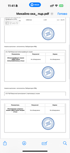 https://upforme.ru/uploads/000f/f6/ce/291/t350917.png