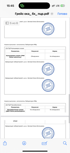 https://upforme.ru/uploads/000f/f6/ce/291/t487247.png
