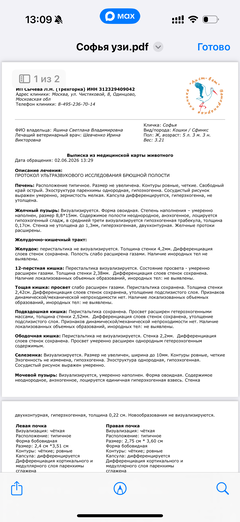 https://upforme.ru/uploads/000f/f6/ce/291/t558004.png
