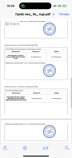 https://upforme.ru/uploads/000f/f6/ce/291/t701526.png