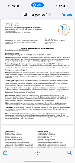 https://upforme.ru/uploads/000f/f6/ce/291/t720730.png