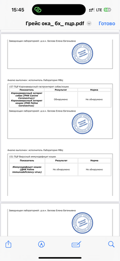 https://upforme.ru/uploads/000f/f6/ce/291/t768389.png