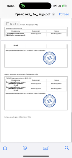 https://upforme.ru/uploads/000f/f6/ce/291/t884218.png