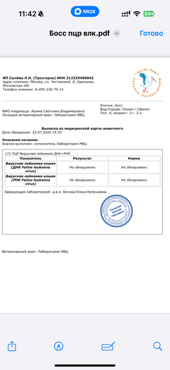 https://upforme.ru/uploads/000f/f6/ce/291/t899145.png