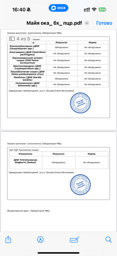 https://upforme.ru/uploads/000f/f6/ce/291/t985053.png