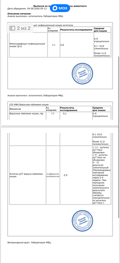 https://upforme.ru/uploads/000f/f6/ce/291/t987373.png