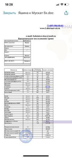 https://upforme.ru/uploads/000f/f6/ce/3/t44883.jpg