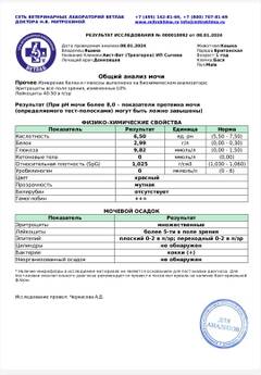 https://upforme.ru/uploads/000f/f6/ce/3/t488502.jpg