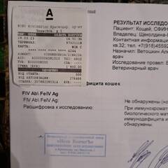 https://upforme.ru/uploads/000f/f6/ce/3/t501854.jpg