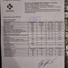 https://upforme.ru/uploads/000f/f6/ce/3/t687007.jpg