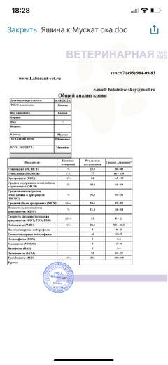 https://upforme.ru/uploads/000f/f6/ce/3/t72804.jpg