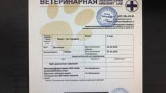 https://upforme.ru/uploads/000f/f6/ce/6/t117134.jpg