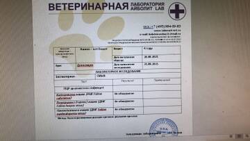 https://upforme.ru/uploads/000f/f6/ce/6/t14333.jpg