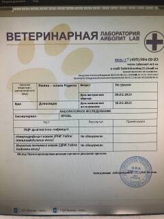 https://upforme.ru/uploads/000f/f6/ce/6/t164028.jpg
