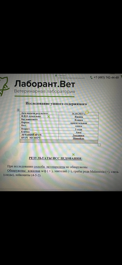 https://upforme.ru/uploads/000f/f6/ce/6/t178009.png