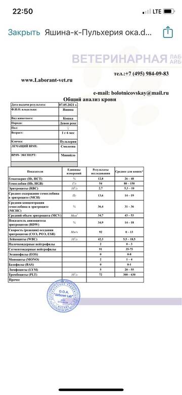 https://upforme.ru/uploads/000f/f6/ce/6/t17801.jpg