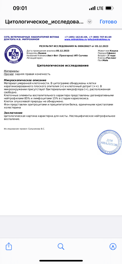 https://upforme.ru/uploads/000f/f6/ce/6/t180684.png