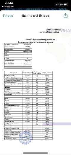 https://upforme.ru/uploads/000f/f6/ce/6/t201057.jpg