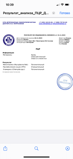 https://upforme.ru/uploads/000f/f6/ce/6/t210041.png