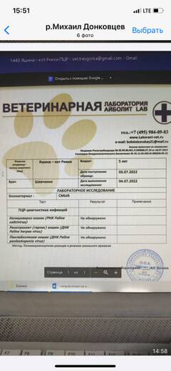 https://upforme.ru/uploads/000f/f6/ce/6/t211530.jpg