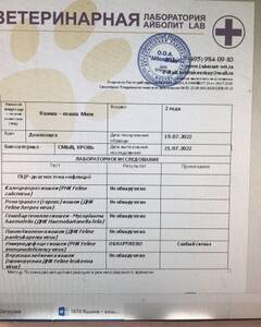 https://upforme.ru/uploads/000f/f6/ce/6/t224411.jpg