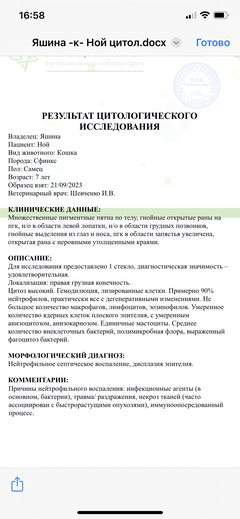 https://upforme.ru/uploads/000f/f6/ce/6/t226568.png
