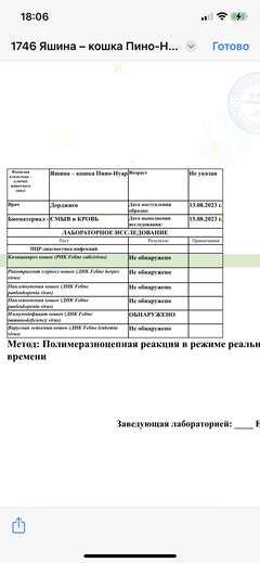 https://upforme.ru/uploads/000f/f6/ce/6/t227144.png