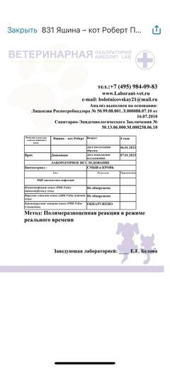 https://upforme.ru/uploads/000f/f6/ce/6/t253346.jpg