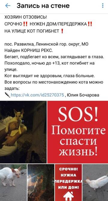 https://upforme.ru/uploads/000f/f6/ce/6/t258469.jpg