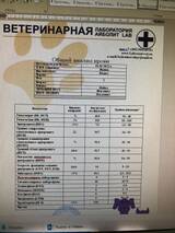 https://upforme.ru/uploads/000f/f6/ce/6/t265115.jpg