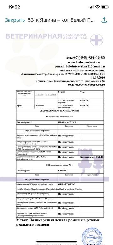 https://upforme.ru/uploads/000f/f6/ce/6/t312891.jpg