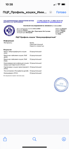 https://upforme.ru/uploads/000f/f6/ce/6/t355369.png