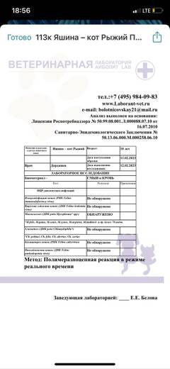 https://upforme.ru/uploads/000f/f6/ce/6/t370929.jpg