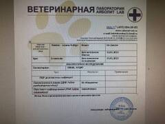 https://upforme.ru/uploads/000f/f6/ce/6/t379162.jpg