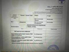 https://upforme.ru/uploads/000f/f6/ce/6/t401826.jpg