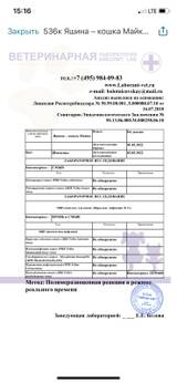 https://upforme.ru/uploads/000f/f6/ce/6/t405274.jpg