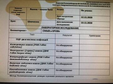 https://upforme.ru/uploads/000f/f6/ce/6/t42449.jpg