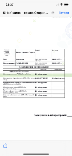 https://upforme.ru/uploads/000f/f6/ce/6/t435742.png