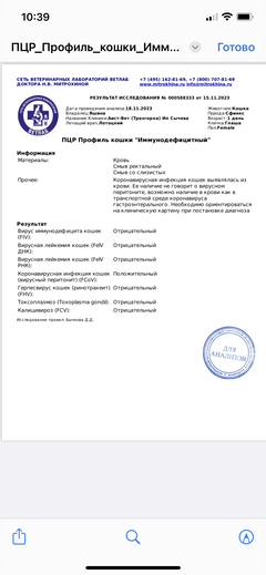 https://upforme.ru/uploads/000f/f6/ce/6/t449160.png