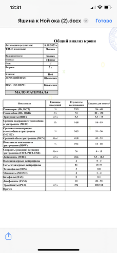 https://upforme.ru/uploads/000f/f6/ce/6/t466080.png