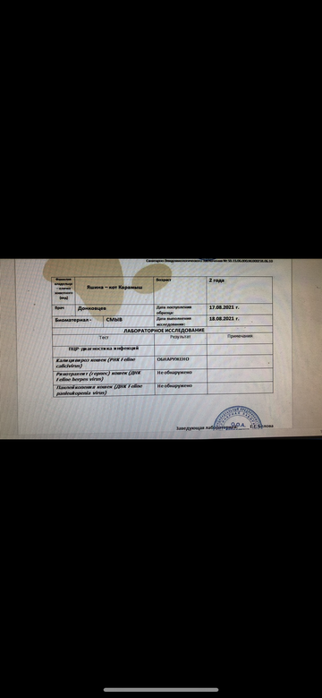 https://upforme.ru/uploads/000f/f6/ce/6/t483991.png