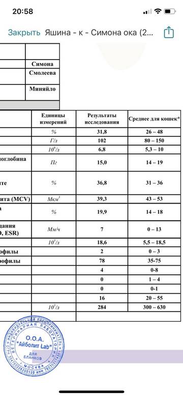 https://upforme.ru/uploads/000f/f6/ce/6/t495338.jpg