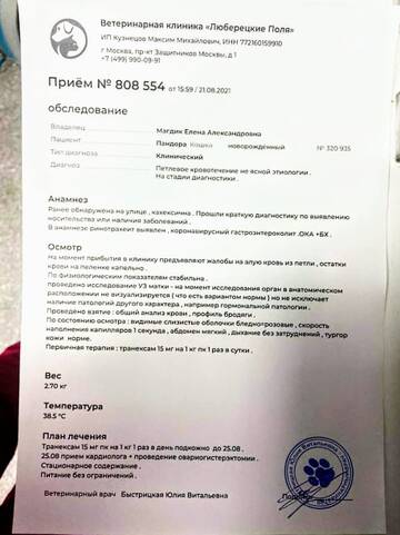 https://upforme.ru/uploads/000f/f6/ce/6/t504549.jpg