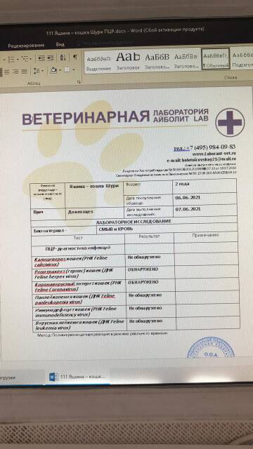 https://upforme.ru/uploads/000f/f6/ce/6/t575150.jpg