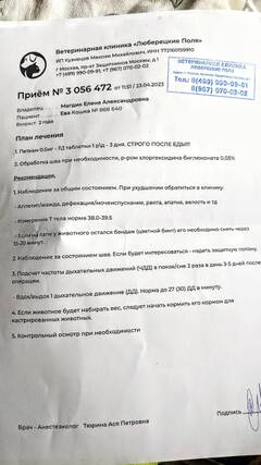 https://upforme.ru/uploads/000f/f6/ce/6/t577157.jpg