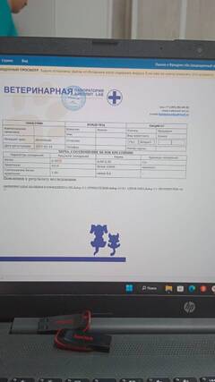 https://upforme.ru/uploads/000f/f6/ce/6/t580355.jpg