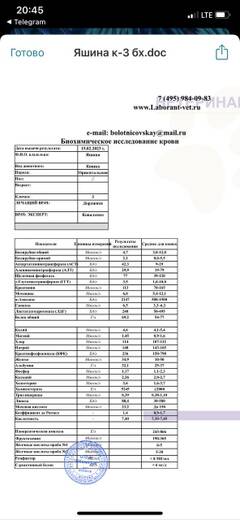 https://upforme.ru/uploads/000f/f6/ce/6/t603271.jpg